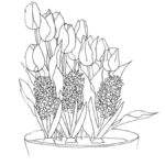 Raskrasil.com-Coloring-Pages-Tulip-53