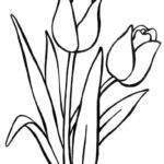 Raskrasil.com-Coloring-Pages-Tulip-57