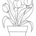 Raskrasil.com-Coloring-Pages-Tulip-60