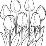 Raskrasil.com-Coloring-Pages-Tulip-69