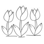 Raskrasil.com-Coloring-Pages-Tulip-74