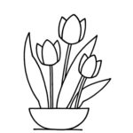 Raskrasil.com-Coloring-Pages-Tulip-76