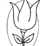 Raskrasil.com-Coloring-Pages-Tulip-77