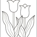 Raskrasil.com-Coloring-Pages-Tulip-78