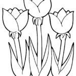 Raskrasil.com-Coloring-Pages-Tulip-83