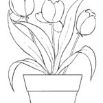 Raskrasil.com-Coloring-Pages-Tulip-85