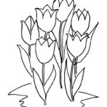 Raskrasil.com-Coloring-Pages-Tulip-86