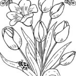 Raskrasil.com-Coloring-Pages-Tulip-89