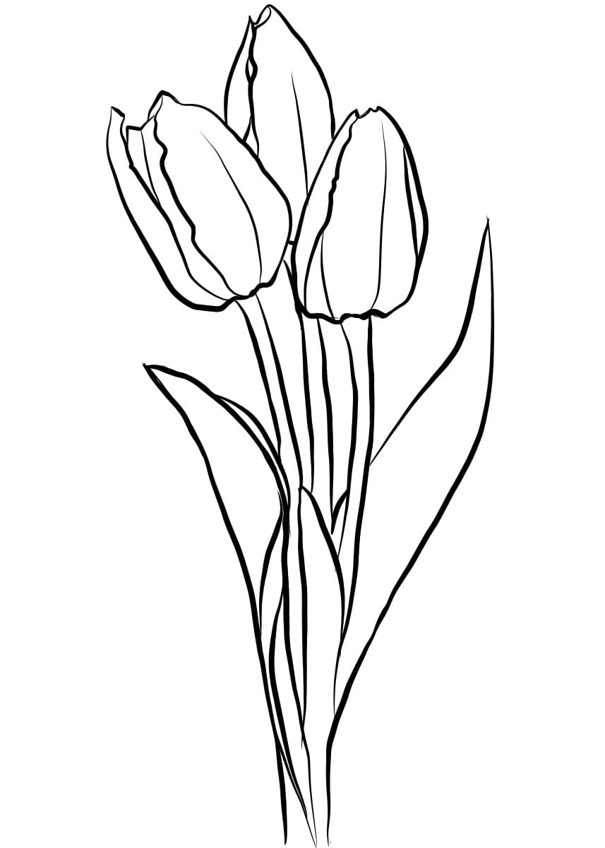 Dibujos de Tulipanes para Colorear - 100 imágenes para imprimir gratis