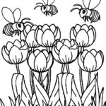 Raskrasil.com-Coloring-Pages-Tulip-95