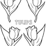 Raskrasil.com-Coloring-Pages-Tulip-99