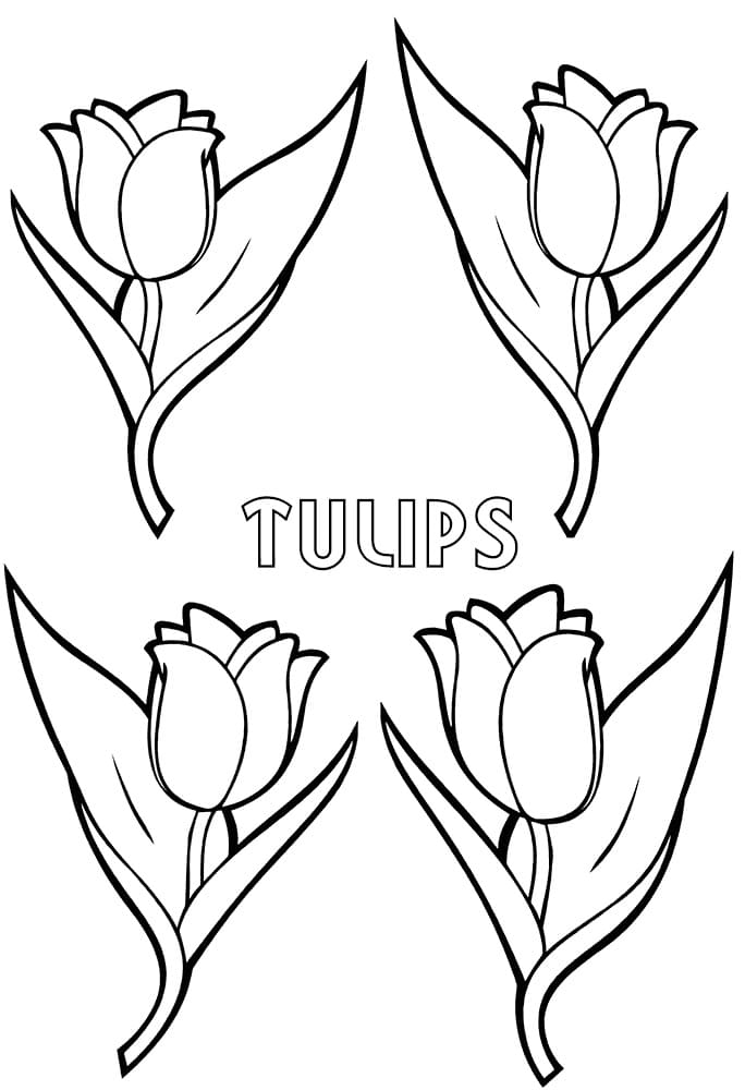 Dibujos de Tulipanes para Colorear - 100 imágenes para imprimir gratis