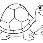 Raskrasil.com-Coloring-Pages-Turtle-1