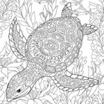 Raskrasil.com-Coloring-Pages-Turtle-101