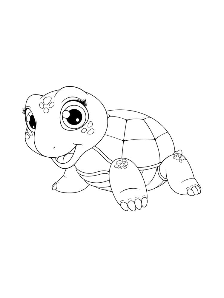 Raskrasil.com-Coloring-Pages-Turtle-107