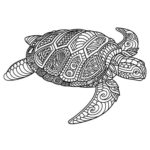 Raskrasil.com-Coloring-Pages-Turtle-108