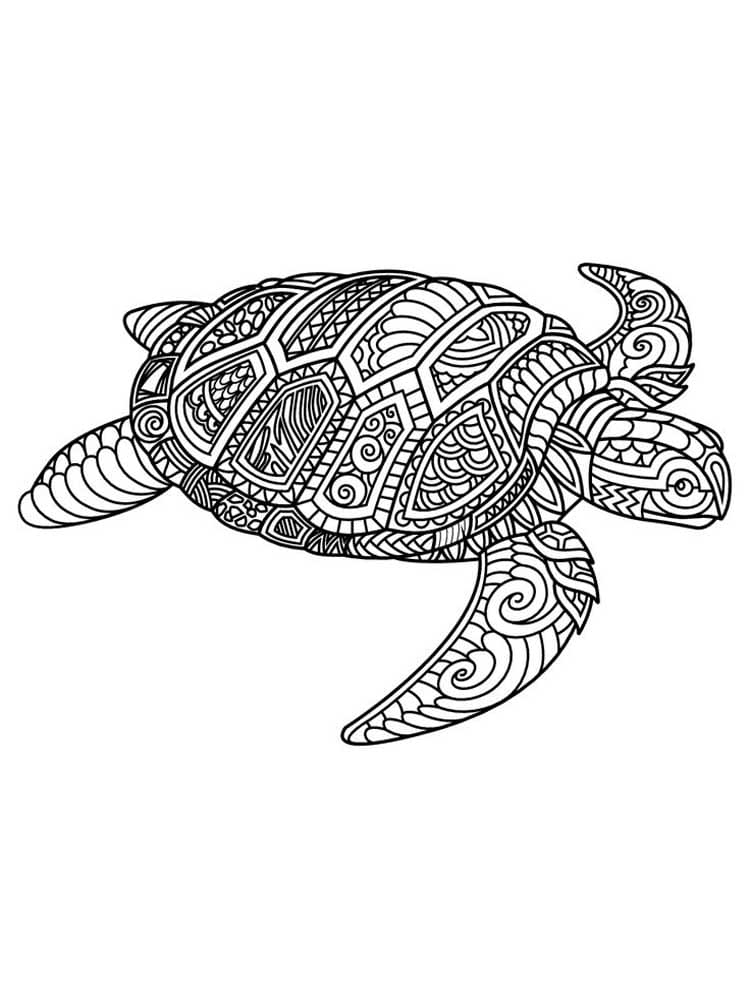 Raskrasil.com-Coloring-Pages-Turtle-108