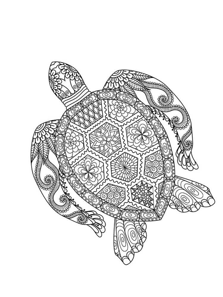 Raskrasil.com-Coloring-Pages-Turtle-111