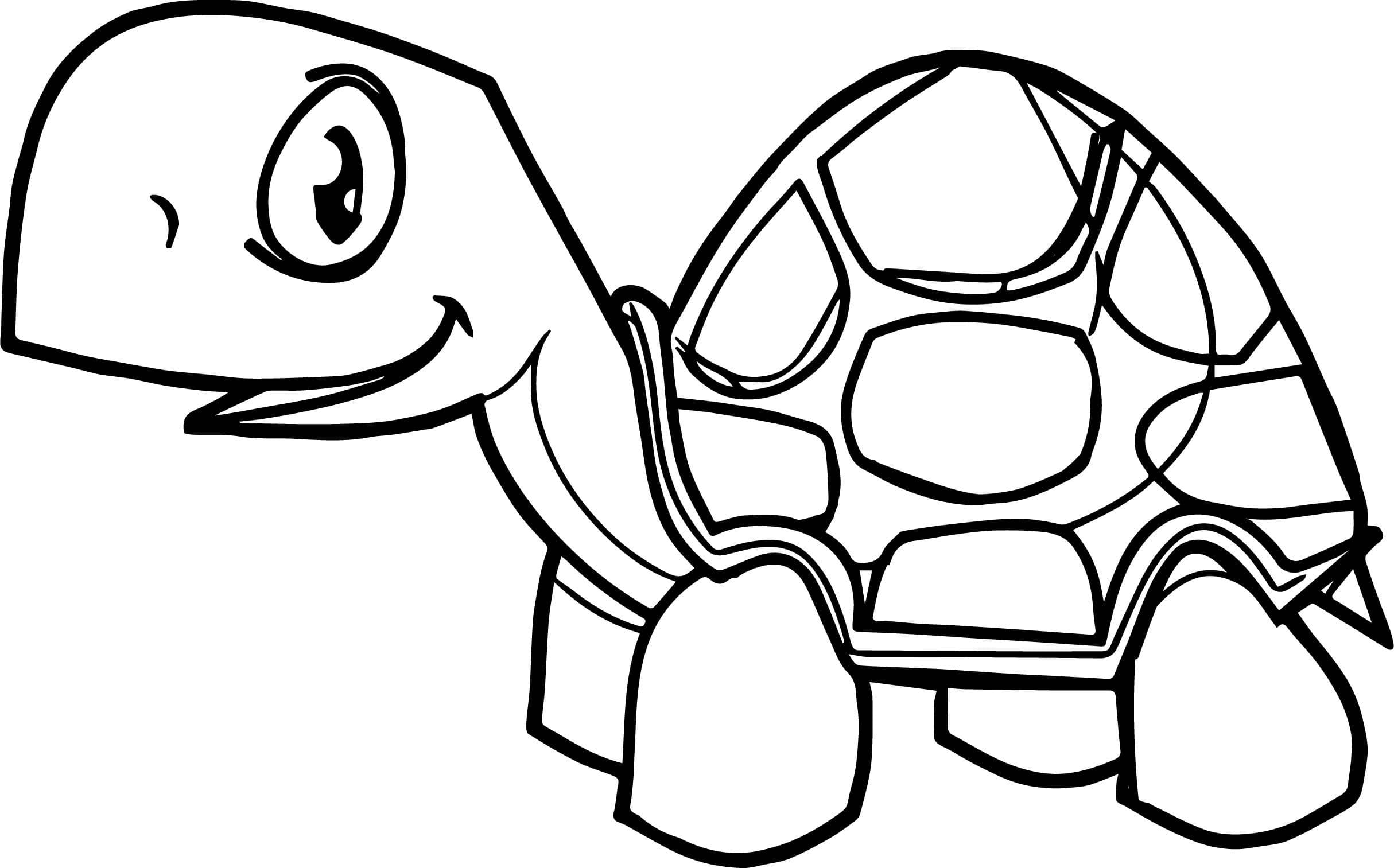 Raskrasil.com-Coloring-Pages-Turtle-113