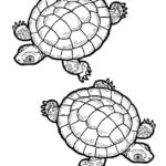 Raskrasil.com-Coloring-Pages-Turtle-120