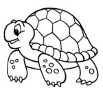 Raskrasil.com-Coloring-Pages-Turtle-2