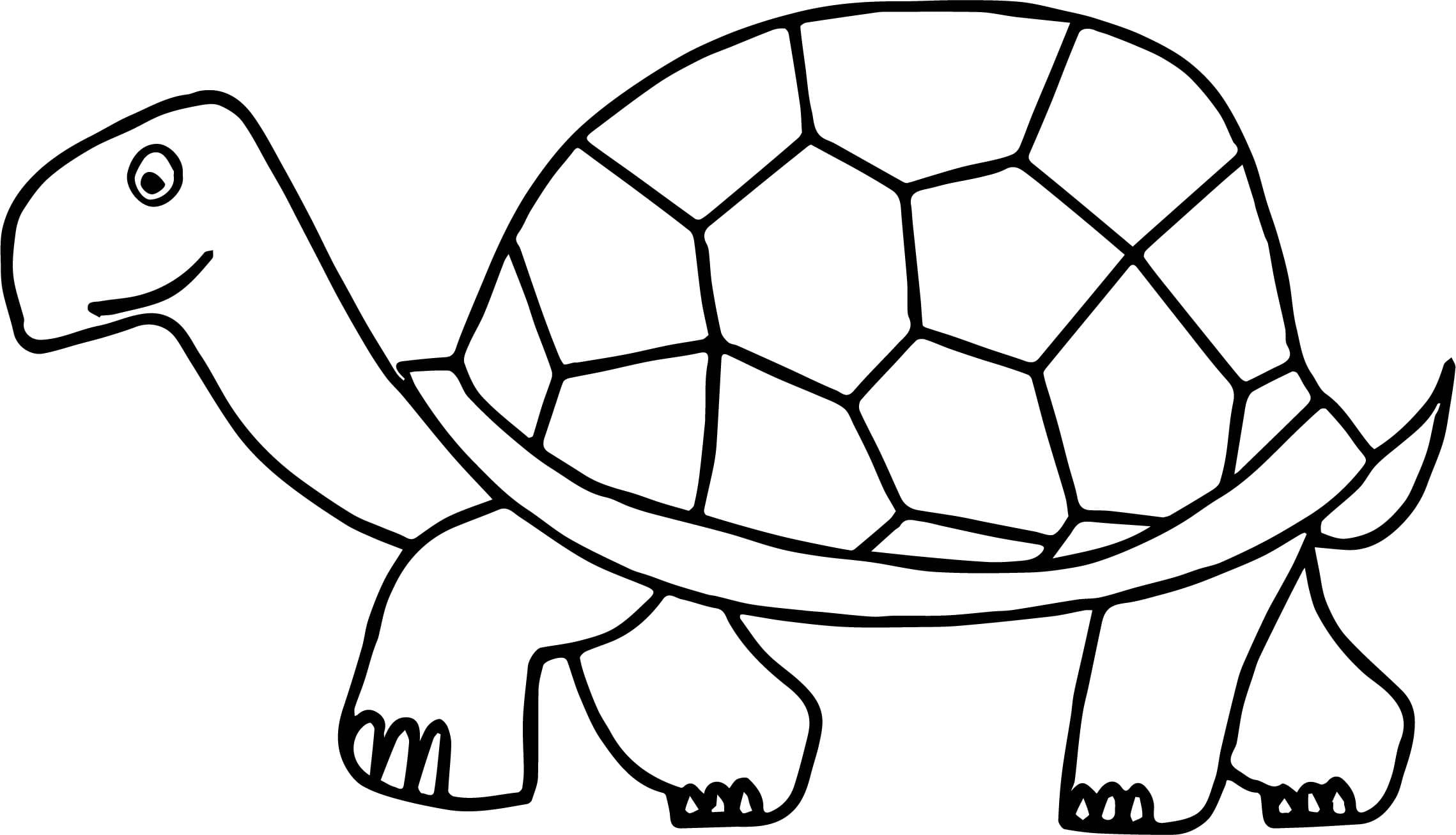 Raskrasil.com-Coloring-Pages-Turtle-21