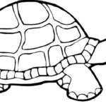 Raskrasil.com-Coloring-Pages-Turtle-23