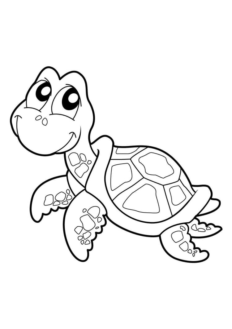 Raskrasil.com-Coloring-Pages-Turtle-26