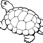 Raskrasil.com-Coloring-Pages-Turtle-27