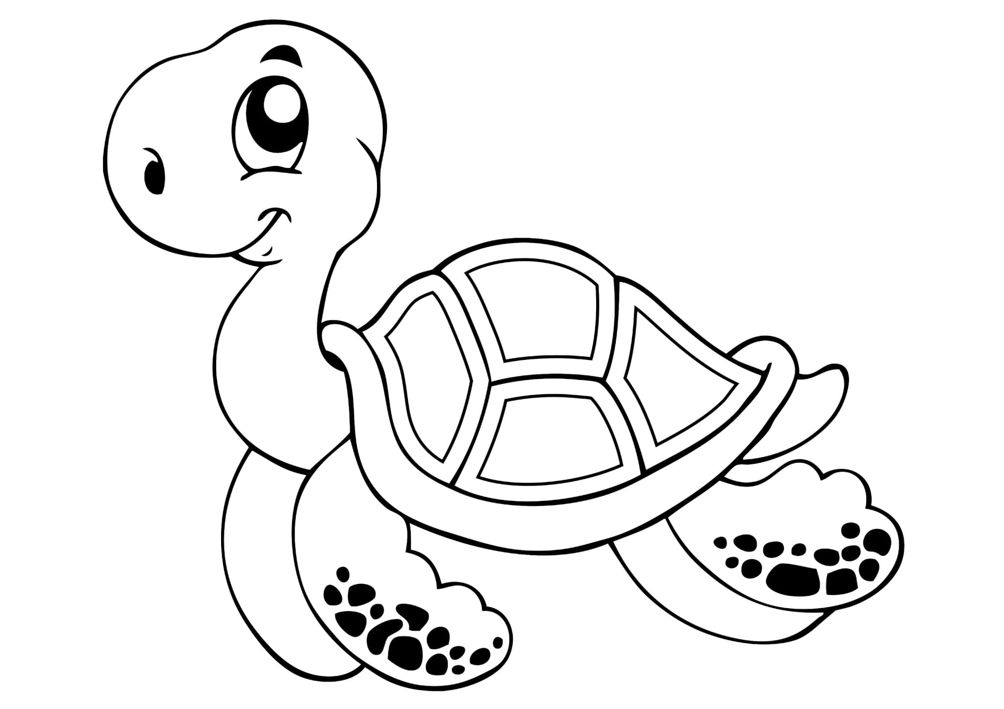 Raskrasil.com-Coloring-Pages-Turtle-31
