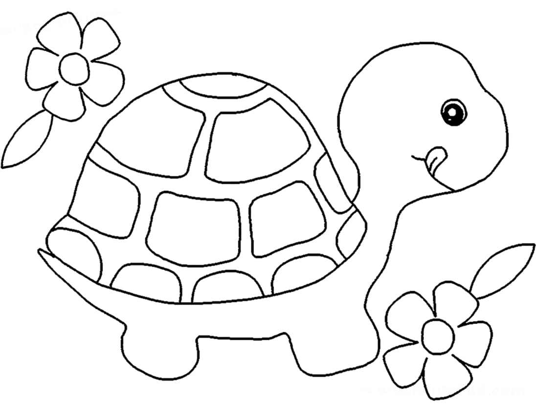 Raskrasil.com-Coloring-Pages-Turtle-33