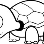 Raskrasil.com-Coloring-Pages-Turtle-34