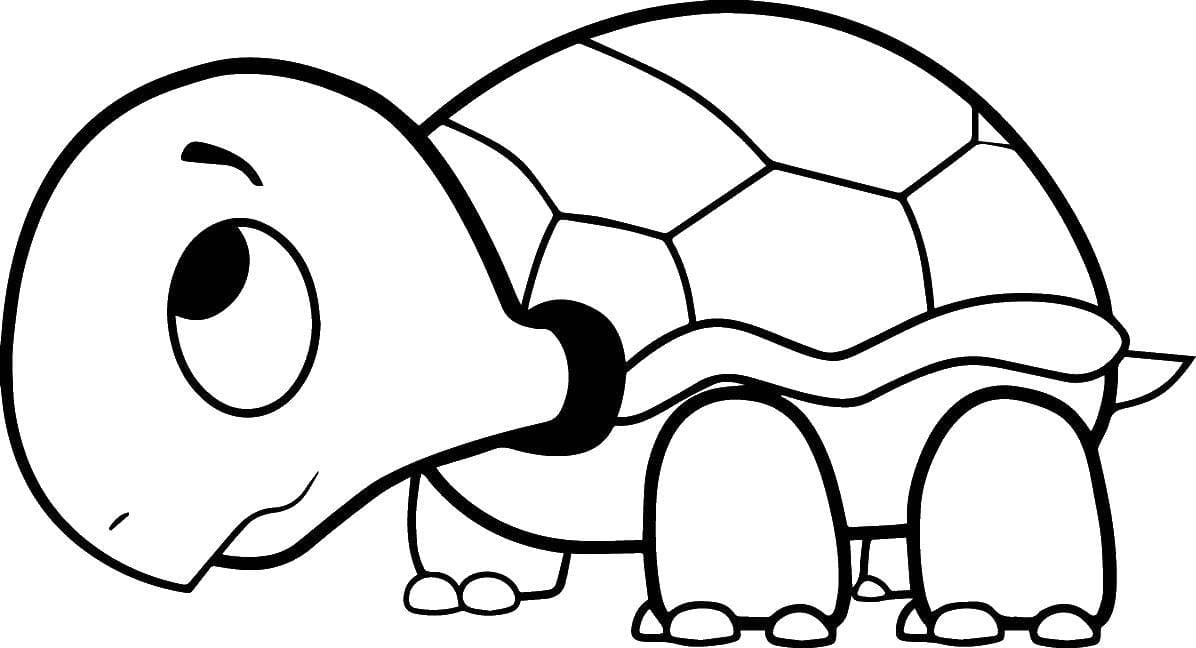 Raskrasil.com-Coloring-Pages-Turtle-34