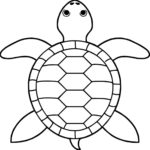 Raskrasil.com-Coloring-Pages-Turtle-36