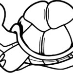 Raskrasil.com-Coloring-Pages-Turtle-37