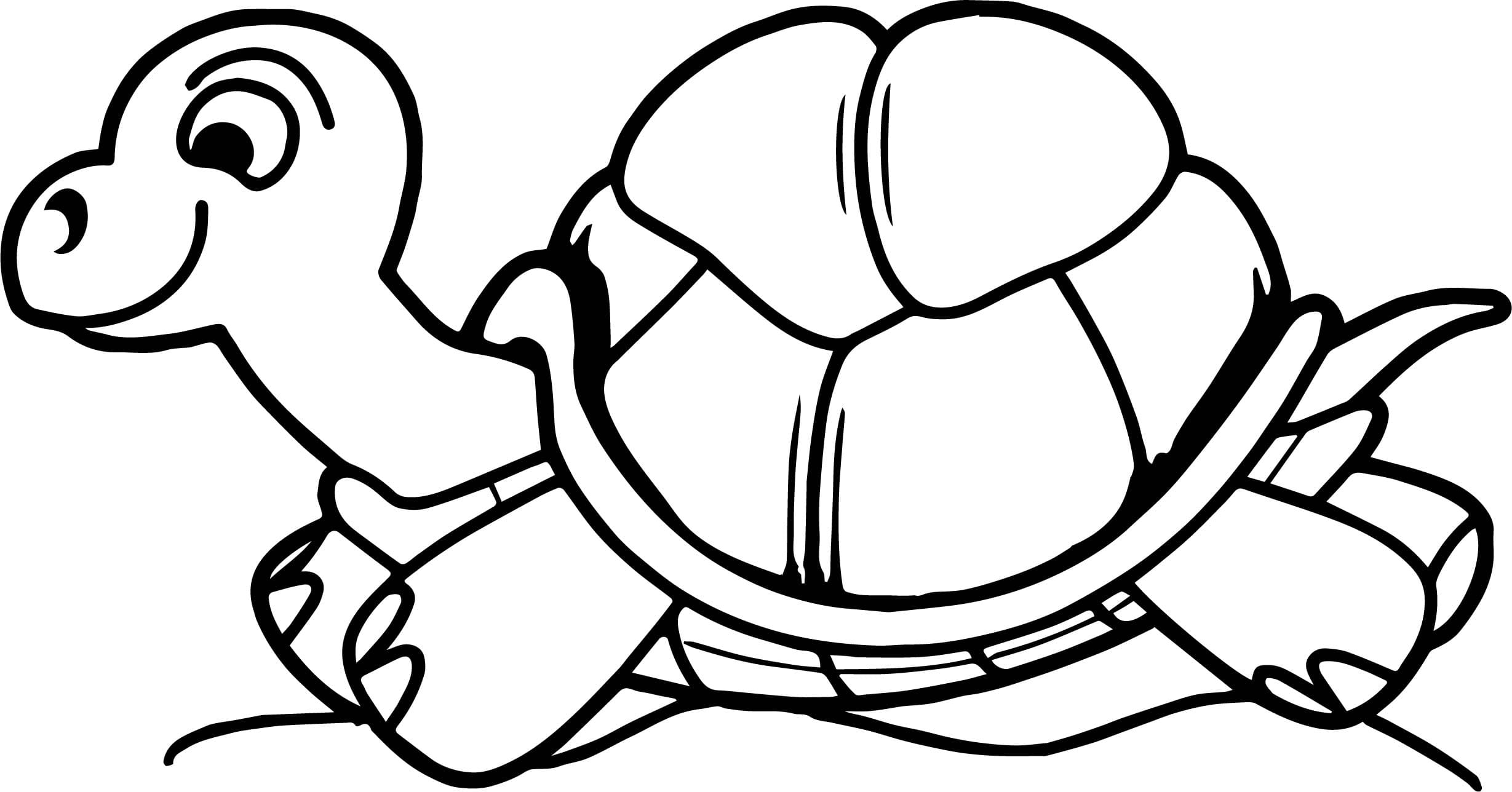 Raskrasil.com-Coloring-Pages-Turtle-37