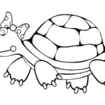 Raskrasil.com-Coloring-Pages-Turtle-40