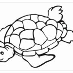 Raskrasil.com-Coloring-Pages-Turtle-42