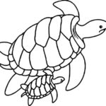Raskrasil.com-Coloring-Pages-Turtle-44