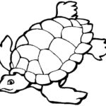 Raskrasil.com-Coloring-Pages-Turtle-46