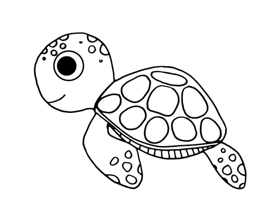 Ausmalbilder Schildkröte | Kostenlos Malvorlagen zum Ausdrucken