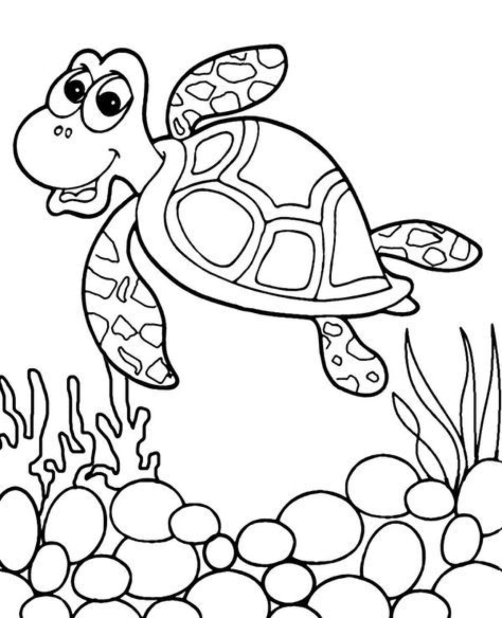 Raskrasil.com-Coloring-Pages-Turtle-51