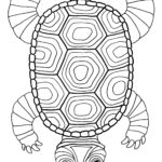Raskrasil.com-Coloring-Pages-Turtle-52