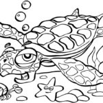 Raskrasil.com-Coloring-Pages-Turtle-53