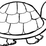 Raskrasil.com-Coloring-Pages-Turtle-58
