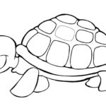 Raskrasil.com-Coloring-Pages-Turtle-59