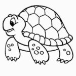 Raskrasil.com-Coloring-Pages-Turtle-61
