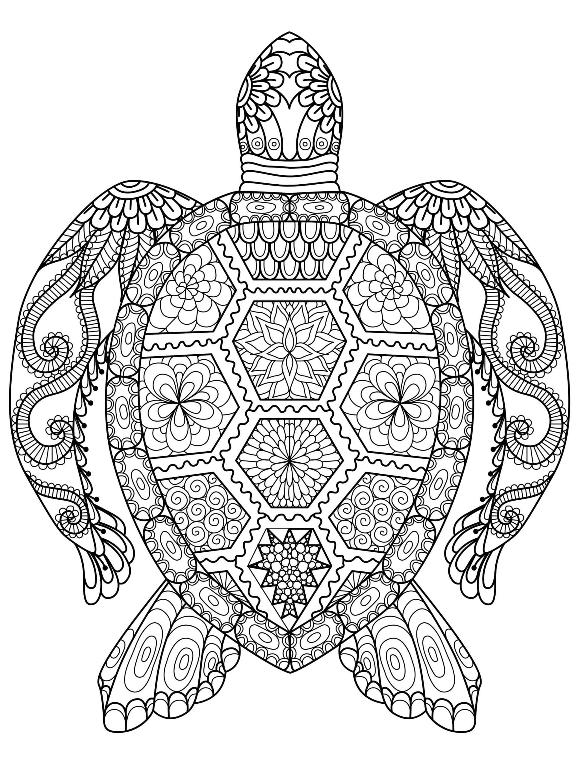 Raskrasil.com-Coloring-Pages-Turtle-67