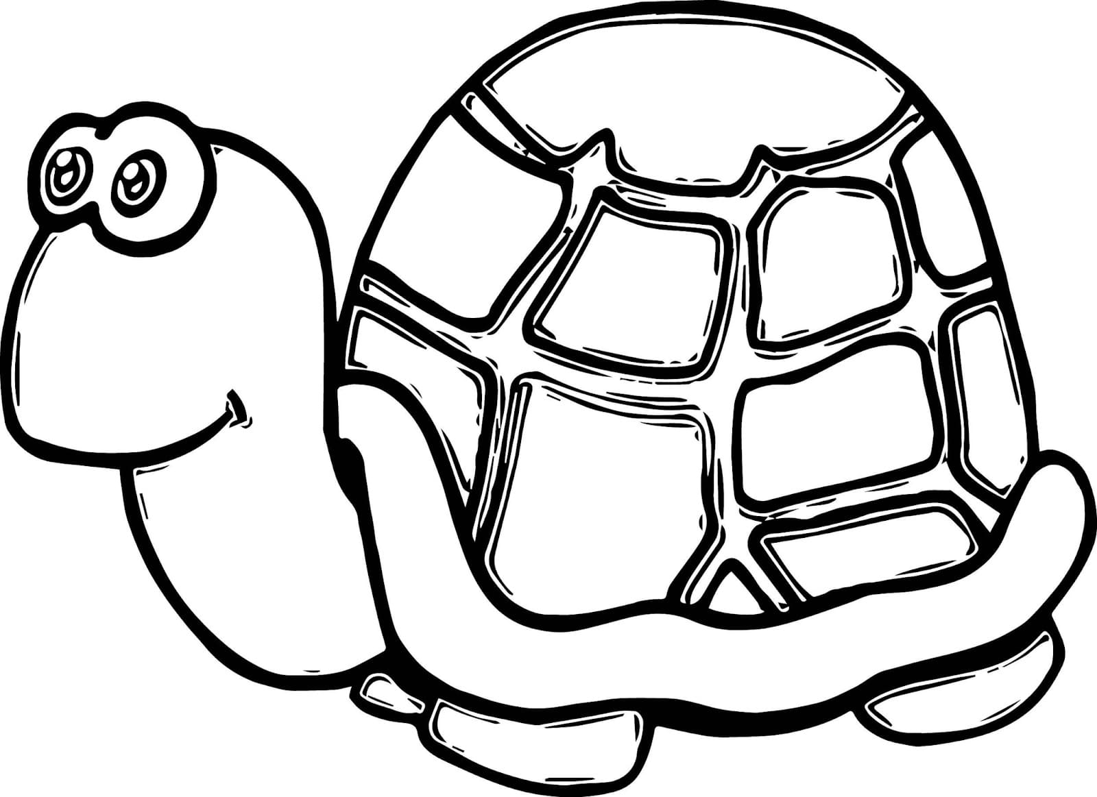 Raskrasil.com-Coloring-Pages-Turtle-68