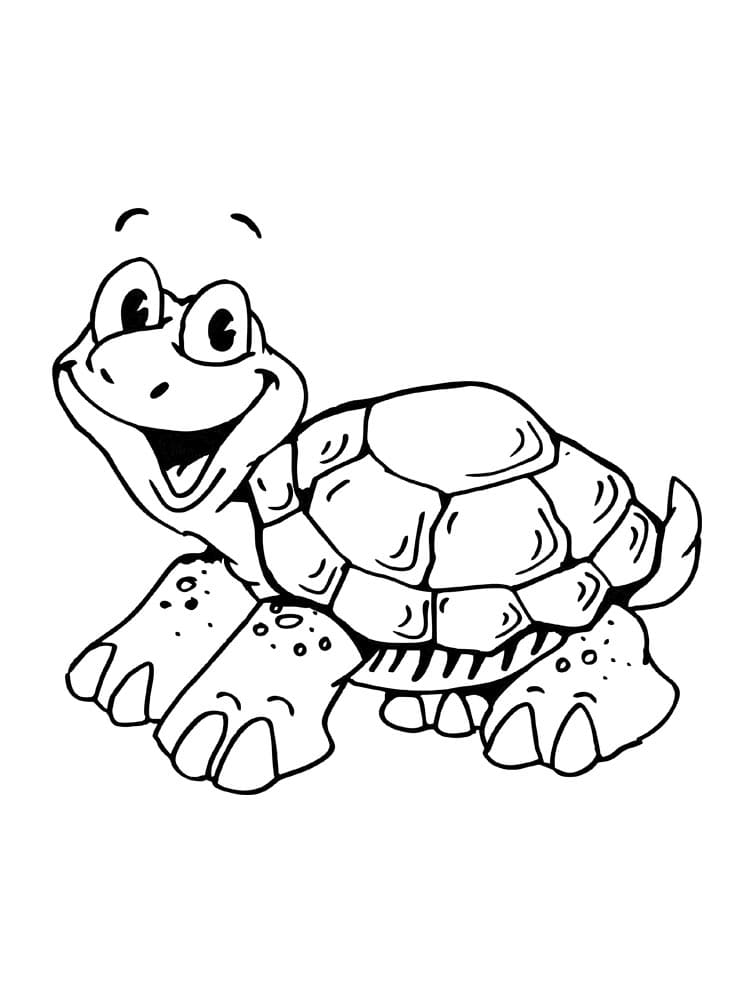 Raskrasil.com-Coloring-Pages-Turtle-71